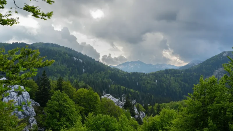 Nature Photography Spots