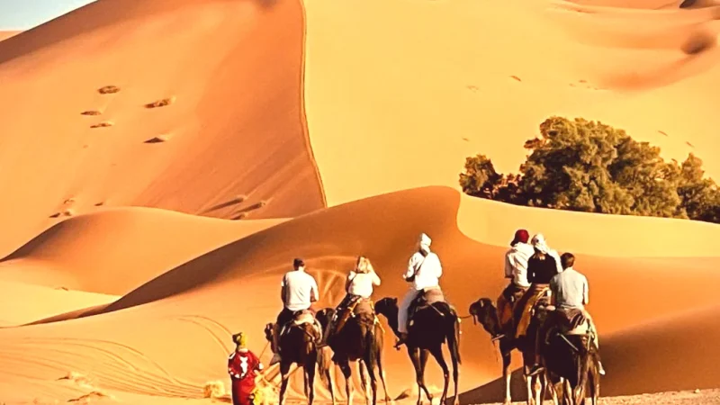 10) Nomad Camps(1)