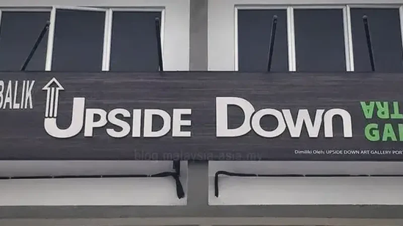 10) PD Upside Down House(4)