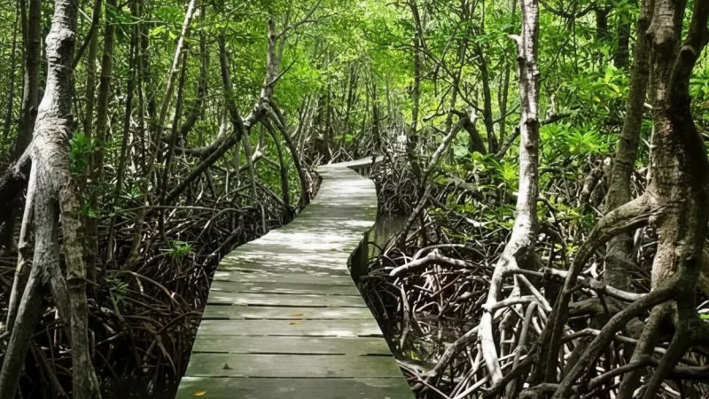 10 Photography Spots – Nature landscapes(5)
