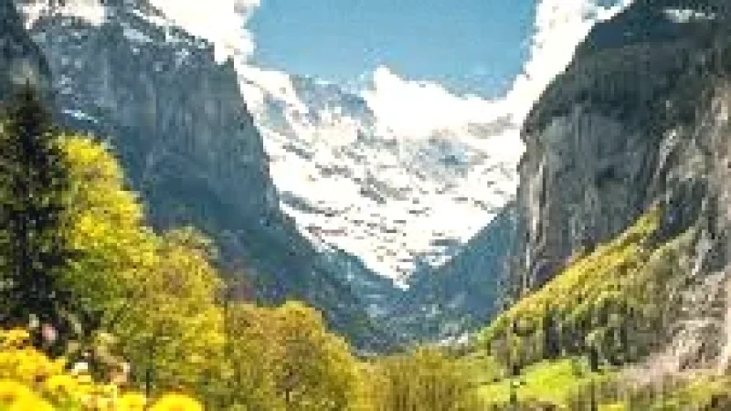10 Picnic Areas(5)