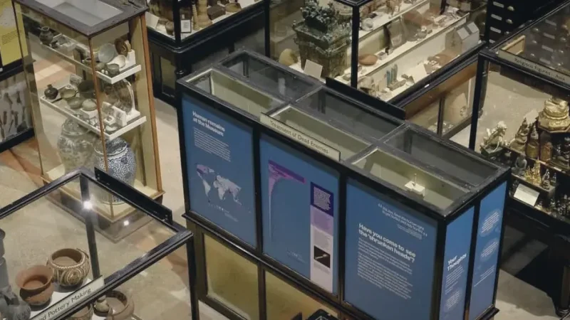 10) Pitt Rivers Museum(4)