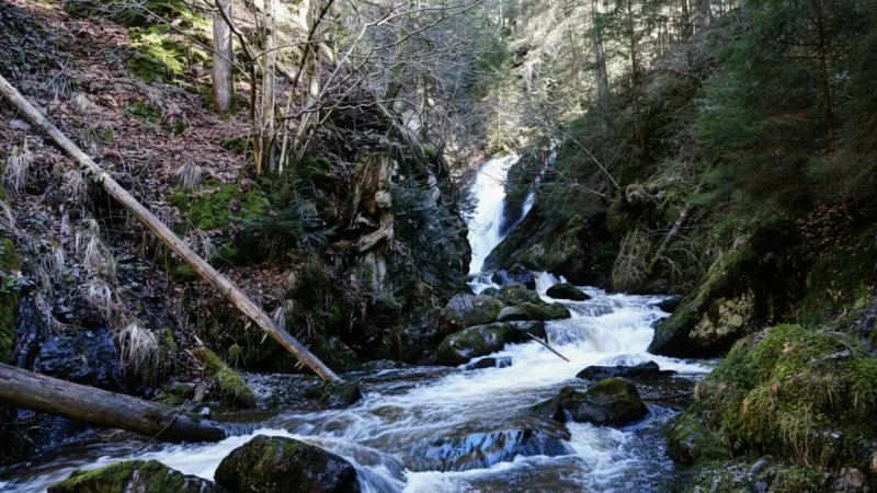 10) Ravennaschlucht(4)