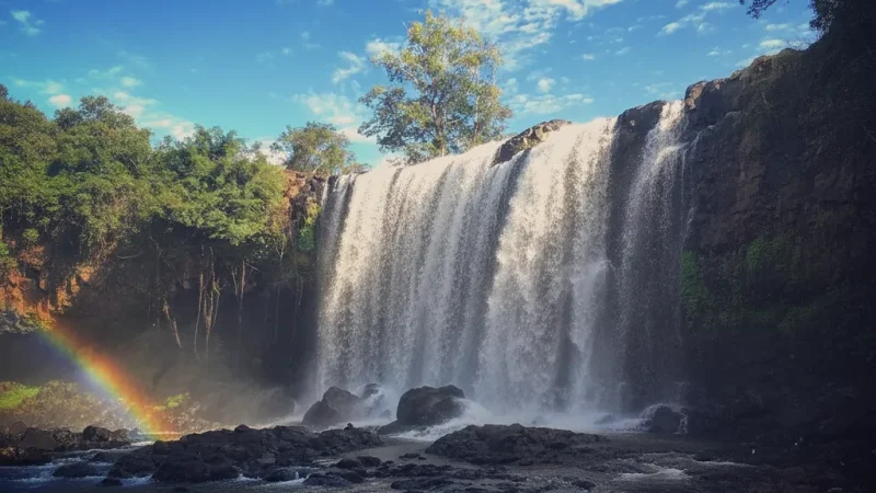 10 River Stream Areas – Calm water flow(6)