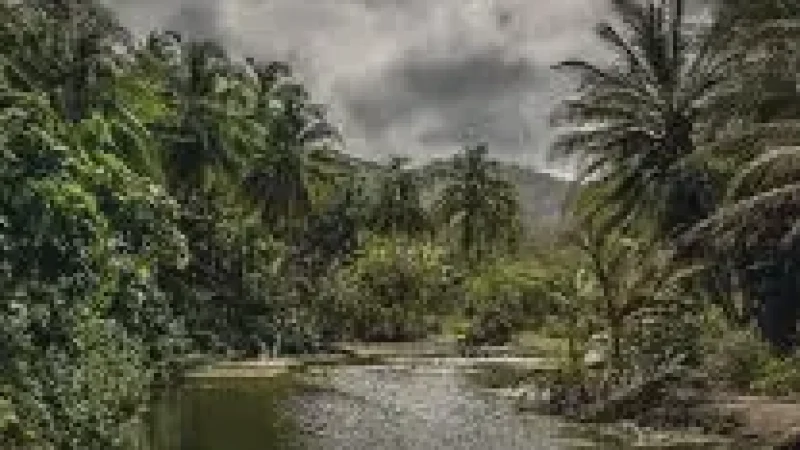 10 River Streams – Freshwater spots(3)