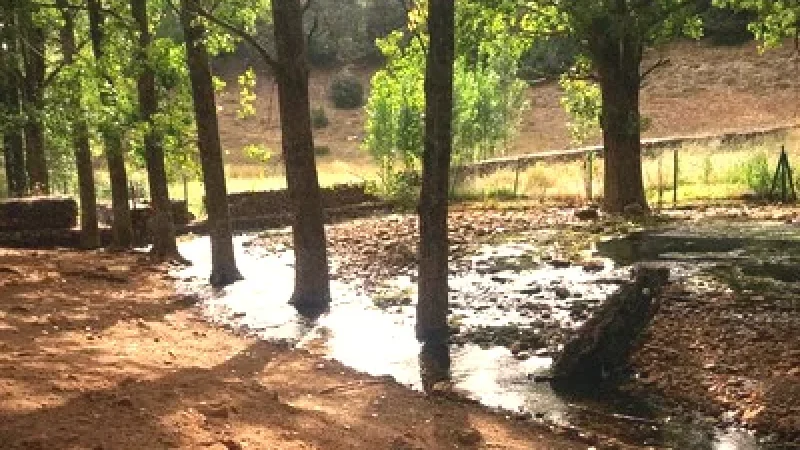 10) Riverbank Walks(4)