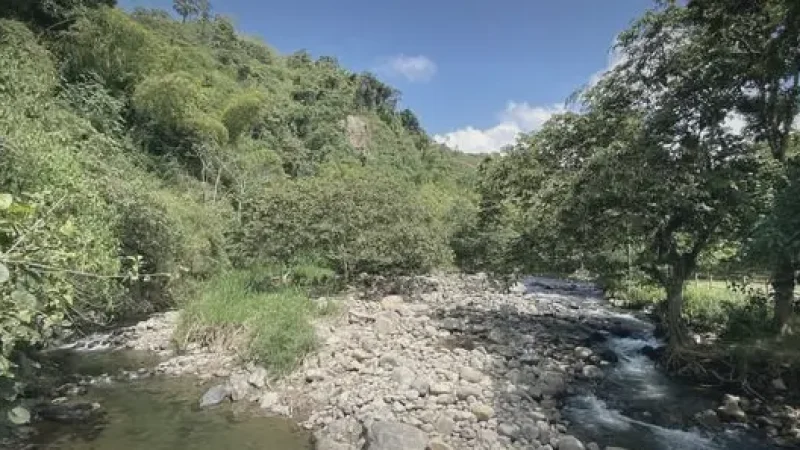 10 Riverside Walks – Relaxed nature paths_(4)