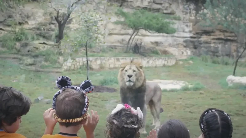 10) San Antonio Zoo(5)