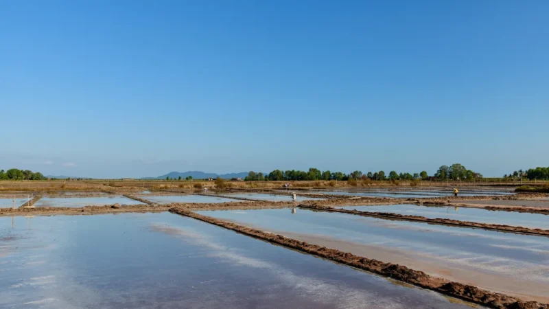 10 Seasonal Water Channels – Salt production paths(1)