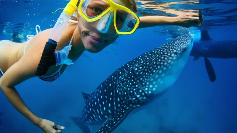 10) Snorkeling Spots(2)