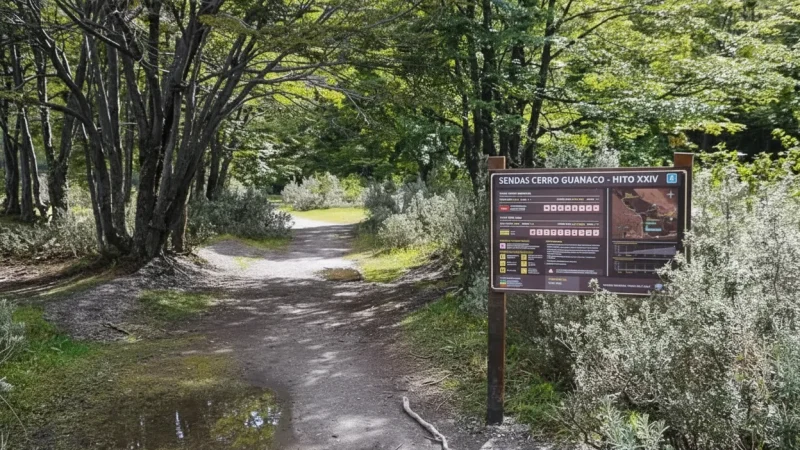 10 Tierra del Fuego National Park Entry – Nature access(6)