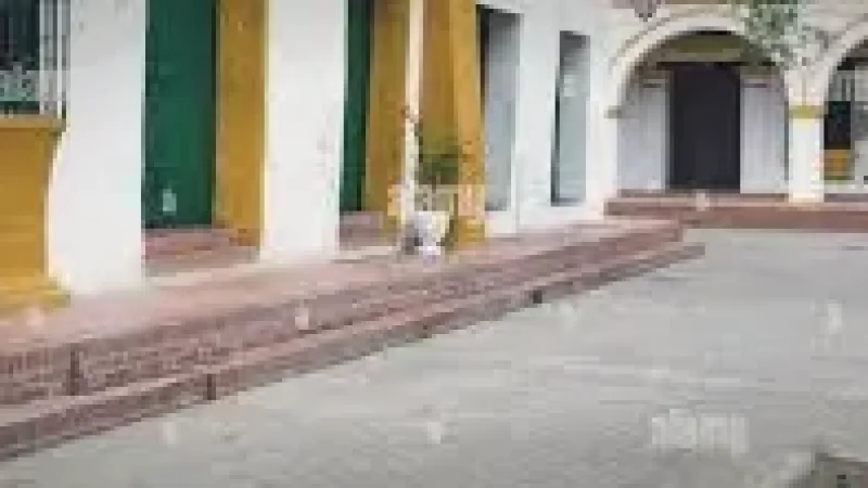 10 Traditional Courtyards – Historic house interiors(5)