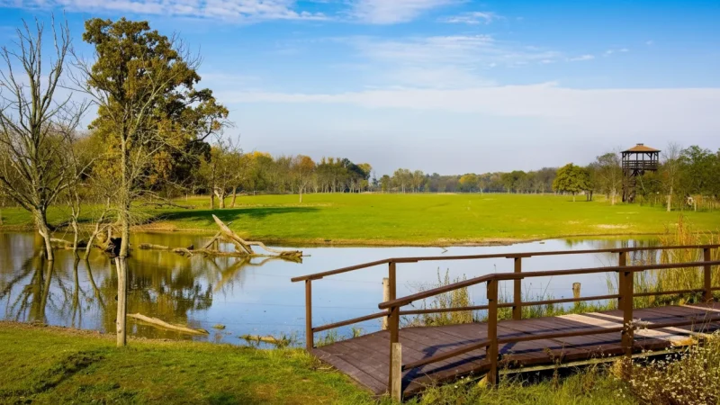 10) Wetland Areas(6)