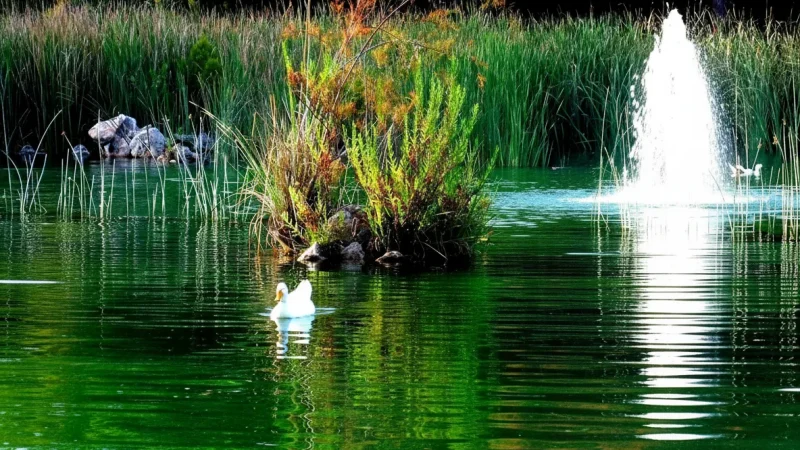 10. Ataturk Park – A coastal park with sea views_(4)