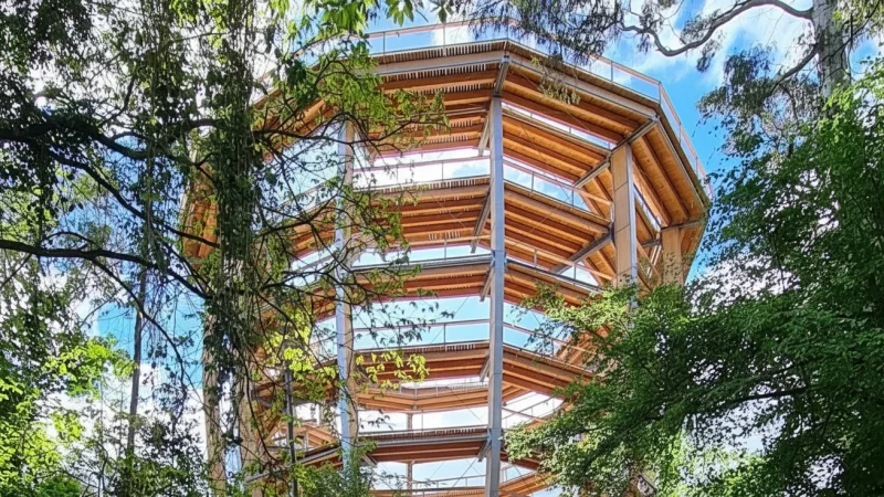 10. Avondale Forest Park(2)