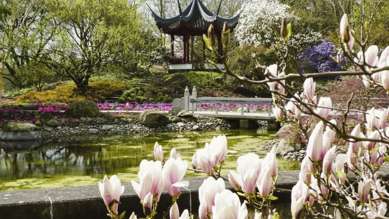 10. Botanischer Garten Hamburg (University Botanical Garden)(4)