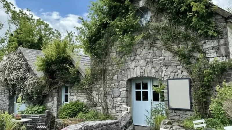 10. Burren Perfumery(2)