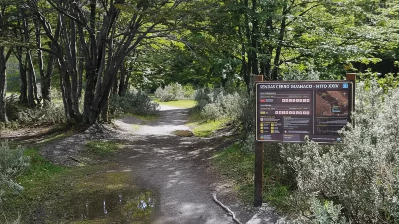 10. Forest Walking Trails – Shaded nature paths(6)