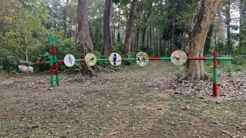 10. Panbari Reserve Forest – A forest area for bird watching_(6)