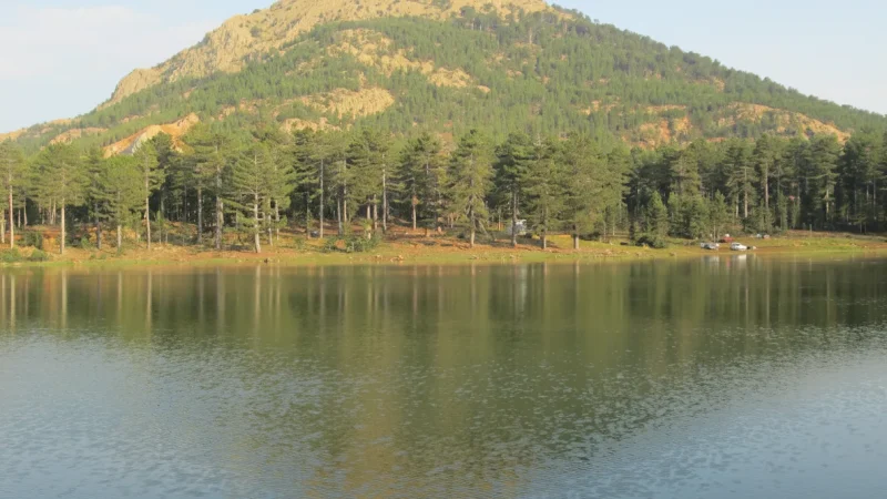 10. Sandras Mountain – A cool mountain area for nature lovers_(3)