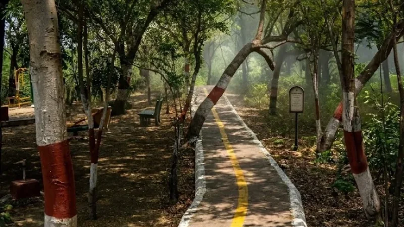 10. Taj Nature Walk(3)