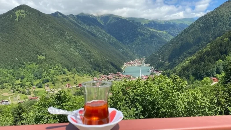 10. Tea Gardens – Local tea spots with lake views_(1)