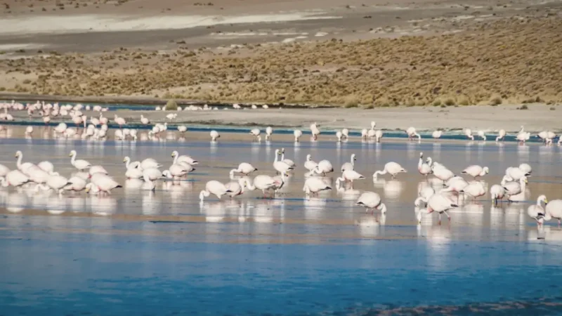 10_Protected_Nature_Zones(1)