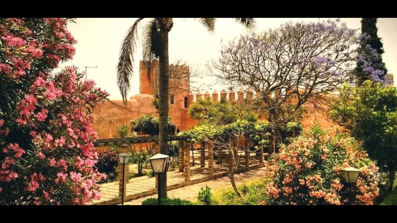 11) Andalusian Gardens(5)