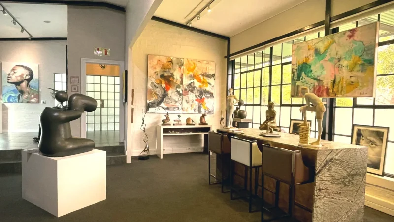 11 Art Galleries – Local and contemporary art(4)