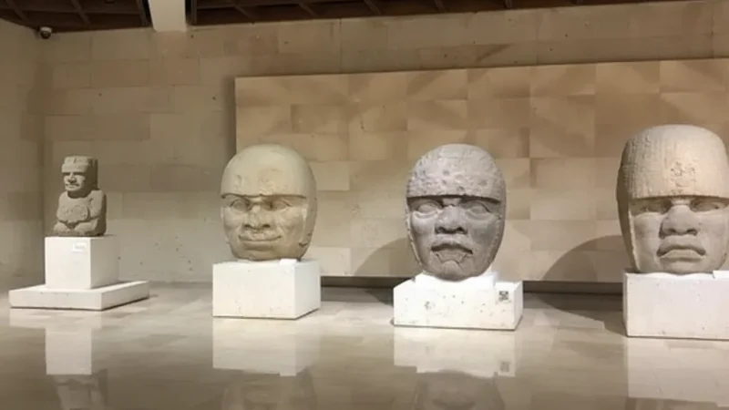 11) Art Galleries(5)