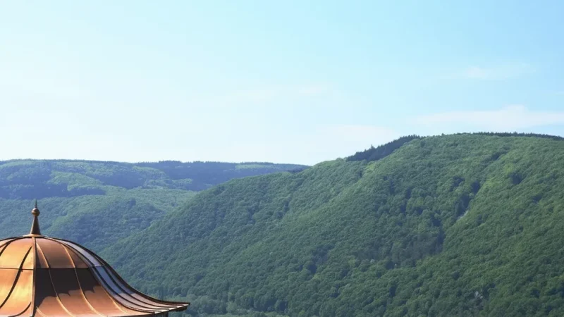 11) Assmannshausen(4)