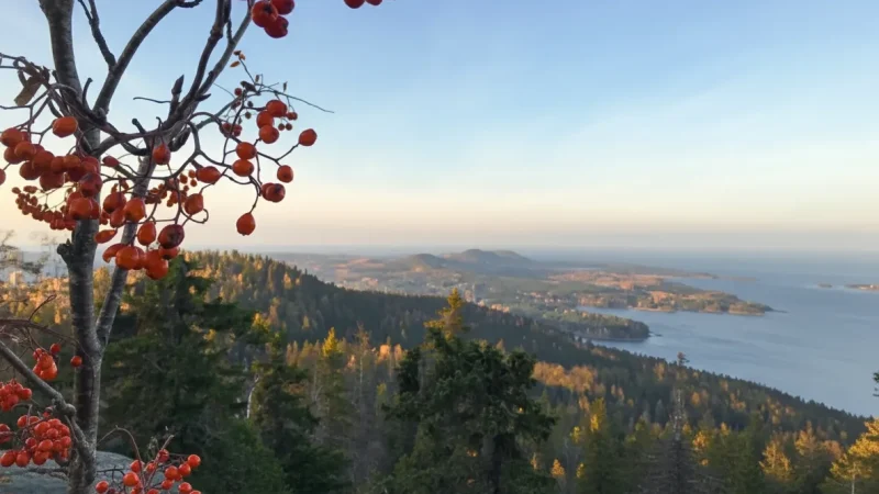 11 Autumn Foliage Areas – Fall color scenery(5)