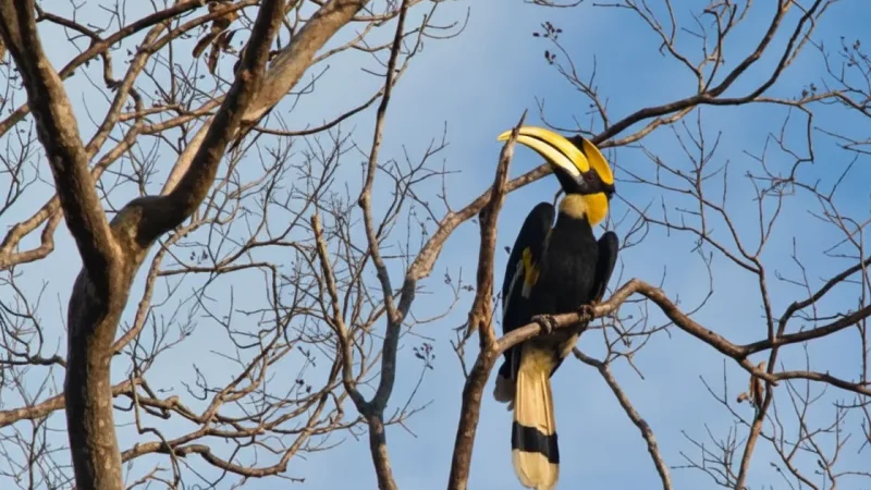 11 Bird Watching Areas – Wildlife spotting(4)