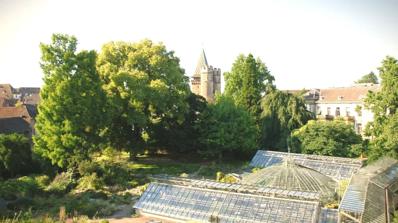 11 Botanical Garden(2)