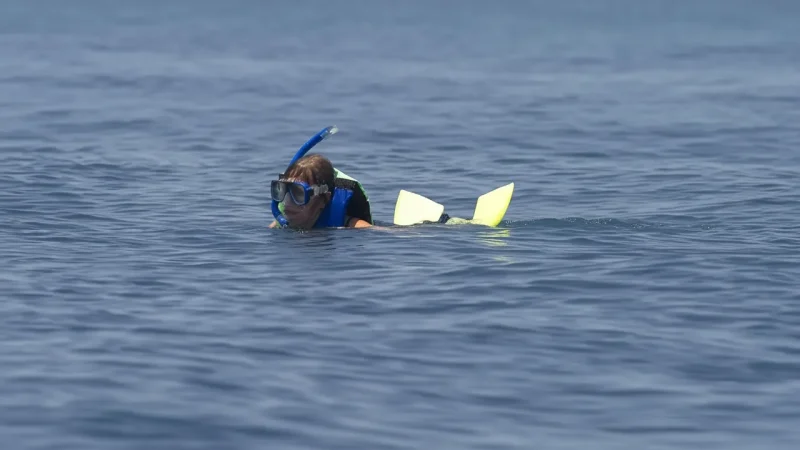 11) Cabo Pulmo Access(5)