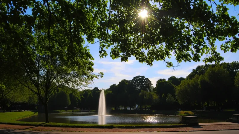 11) Clara-Zetkin Park(3)