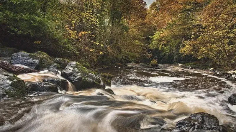 11) Crumlin Glen(1)