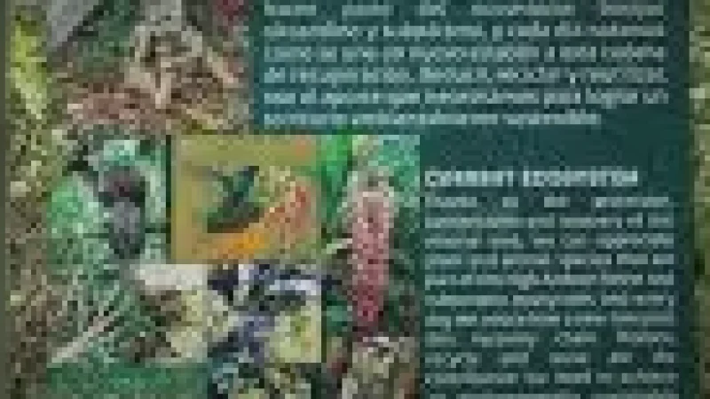11 Cultural Explanation Boards – Historical details(1)