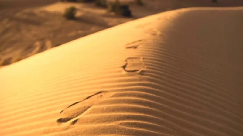 11) Desert Walking Trails(2)