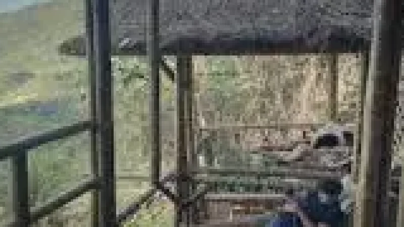 11 Eco-Lodges – Nature accommodation(2)