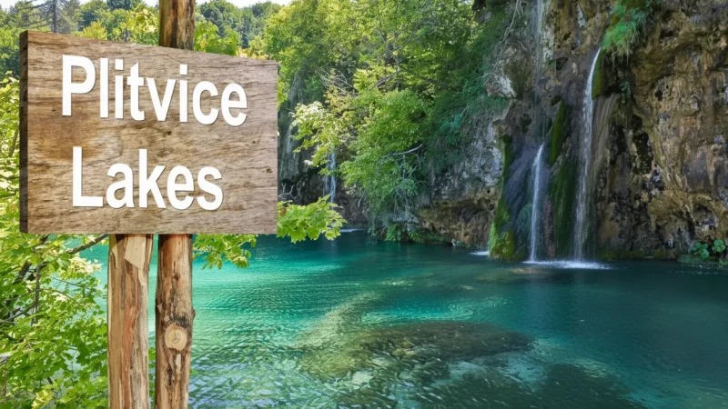 Educational Nature Panels