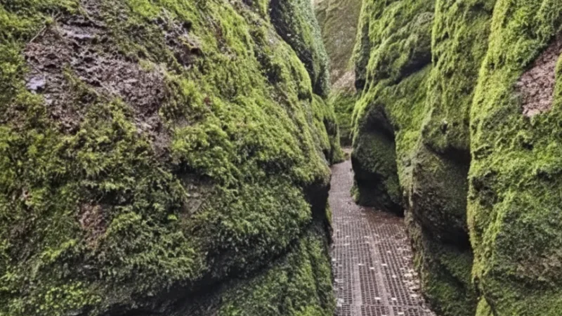 11) Elisabethbrunnen Marburg(5)