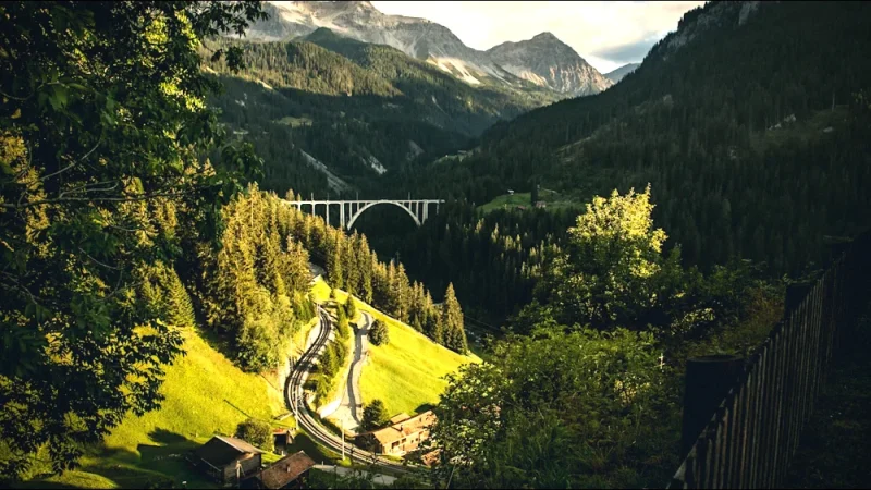11 Forest Paths(3)