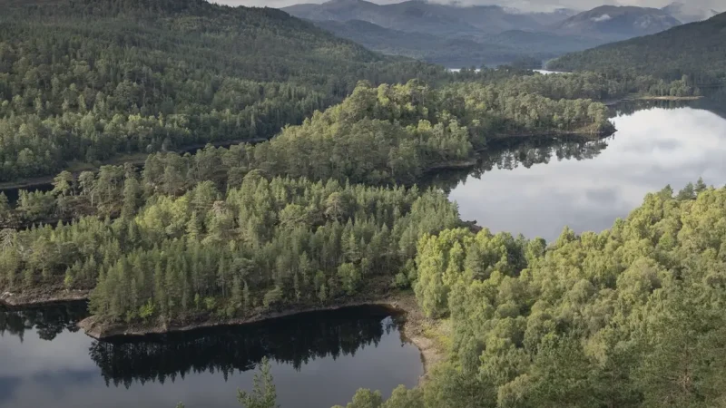 11) Glen Affric(3)