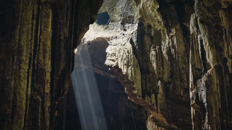 11) Gomantong Cave(5)