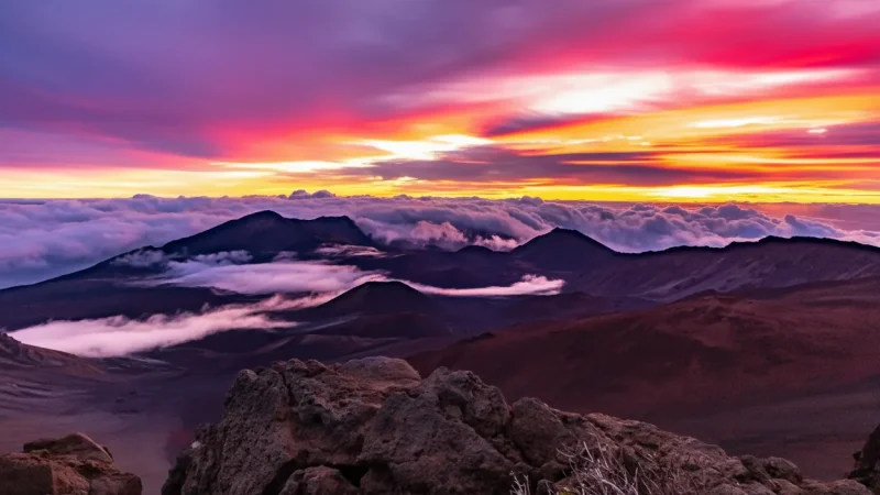 11) Halebüll Beach Area(6)