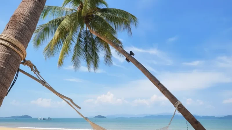 11 Hammock Areas – Relaxed beach lounging(2)