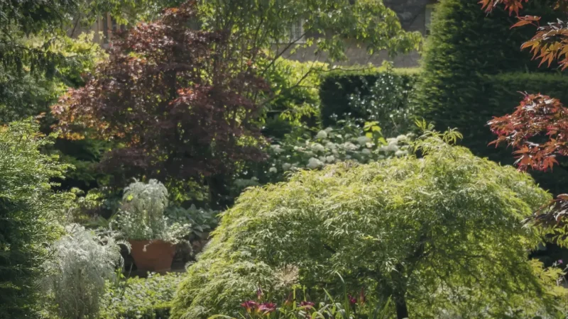 11) Hidcote Manor Garden(3)