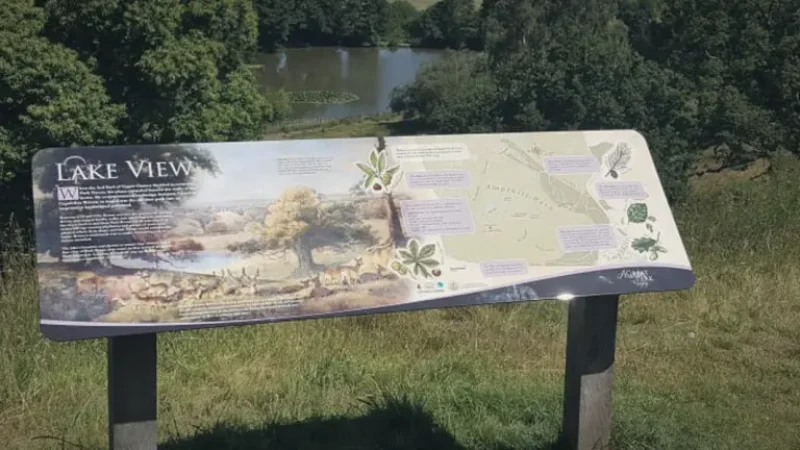 11) Interpretation Panels(3)