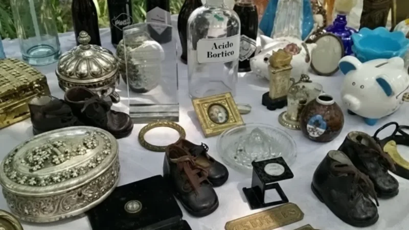 11 Local Markets – Traditional products(4)